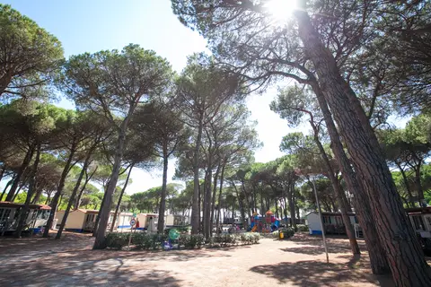 Pineta Sul Mare Camping Village in Cesenatico — foto 7