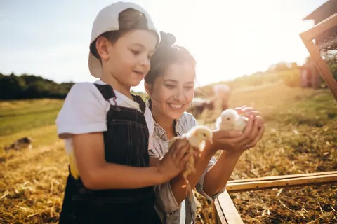Camping Du Menhir foto 16