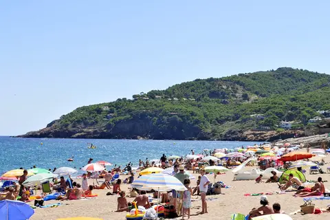 Alannia Neptuno in Platja de Pals — foto 10