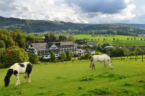 Sauerland Alpin Hotel foto 36