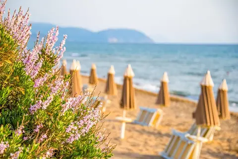 Riva degli Etruschi in San Vincenzo — foto 9