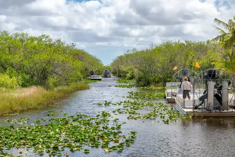 Florida Sunshine in Jacksonville — foto 4