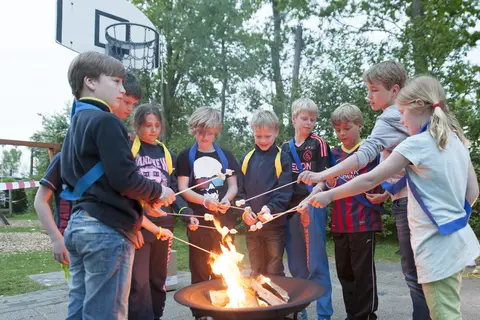 Koningshof in Rijnsburg — foto 31