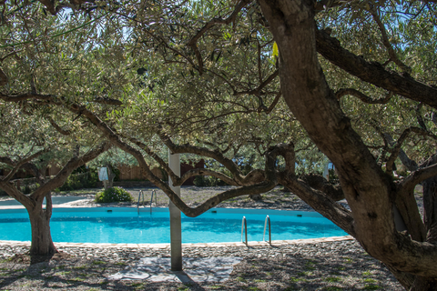 Hotel Cala Joncols foto 5