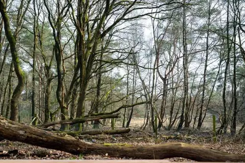 Landgoed Mennorode foto 21