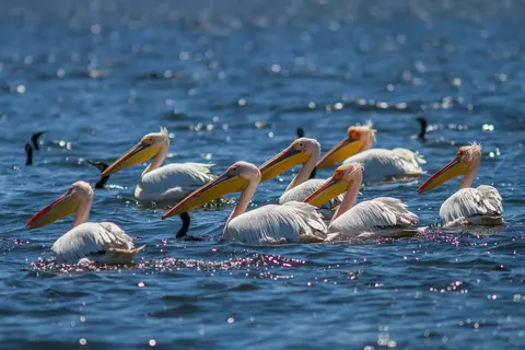 Ontdekking van de Donau foto 15