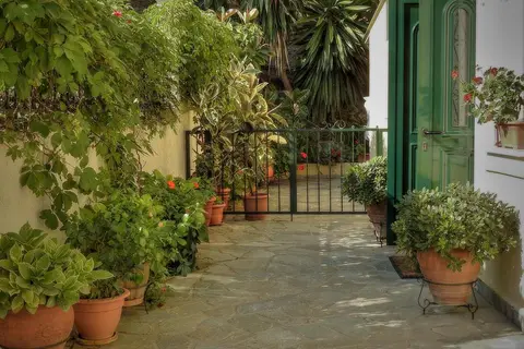 Alonakia in Άγιος Γόρδιος — foto 10