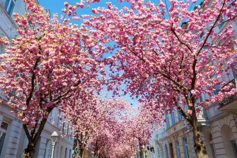 Best Western Hotel President foto 21