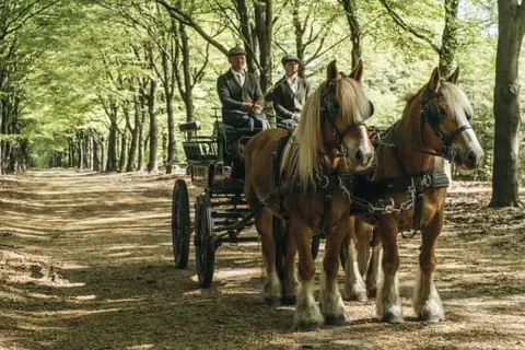 Van der Valk Hotel Apeldoorn - De Cantharel foto 17