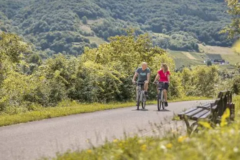 Hotel Halfenstube & Villa Spa 1894 foto 28