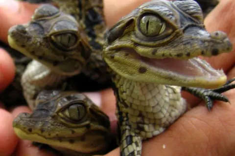 Camping La Buissière foto 20