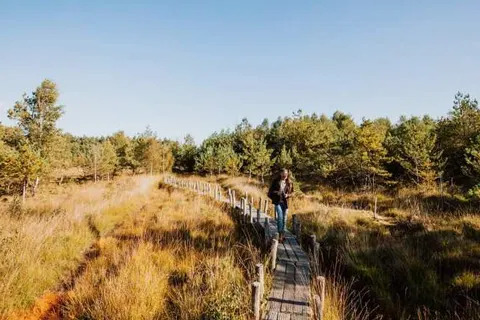 Vakantiepark De Wiltzangh in Ruinen — foto 19