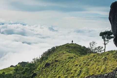 Discover Tropical Panama in Al Alma — foto 3