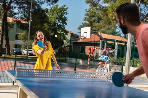 Vakantiepark Istrian Villas foto 3