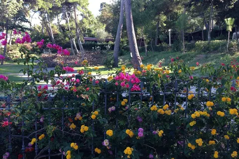 Camping San Menaio foto 4