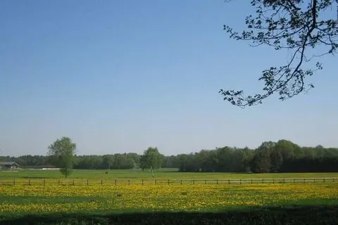 Landgoedhotel Woodbrooke foto 31