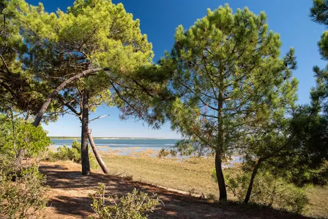 Camping Club La Côte Sauvage foto 29