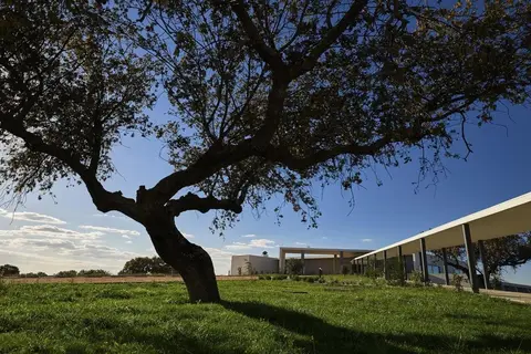 Herdade dos Delgados in Mourão — foto 2