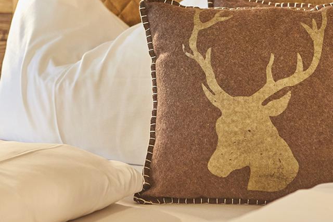 AlpenParks Hotel & Apartment Sonnleiten foto 3