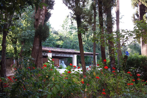 Hotel Ipsos Beach foto 11