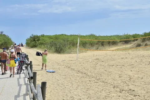 Camping Waikiki foto 9