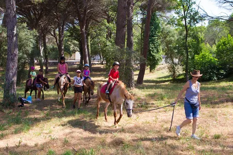 Camping La Baume-la Palmeraie foto 18
