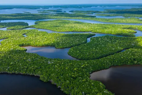 Ontdek Florida foto 14