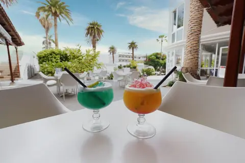 RF San Borondón in Puerto De La Cruz — foto 6