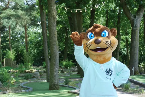 Vakantiepark Breebronne foto 21