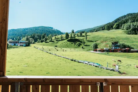 COOEE alpin Hotel Bad Kleinkirchheim in Bad Kleinkirchheim — foto 20