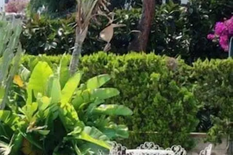 Royal Terme in Ischia — foto 23