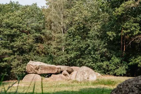 Villapark De Hondsrug foto 15