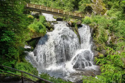 De Moezel, het Zwarte Woud en het Sauerland op het gemak foto 2