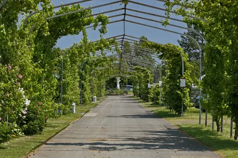 Knaus Campingpark Bad Dürkheim in Bad Dürkheim — foto 8