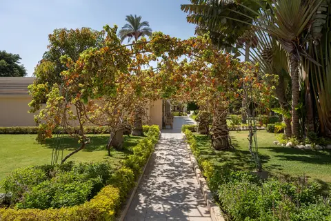 JAZ Pyramids Resort in كفرة نصار — foto 20
