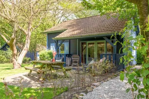 Erve Dennenoord foto 6