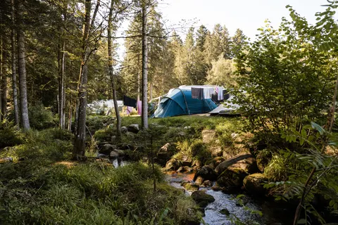 Camping La Steniole foto 27