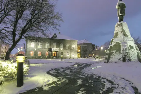Gletsjers en het Noorderlicht in Zuid-IJsland en Reykjavik — foto 4