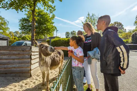 Molengroet in Noord-Scharwoude — foto 3
