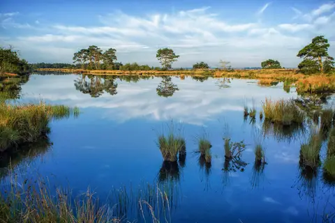 Kraaijenbergse Plassen in Linden — foto 12