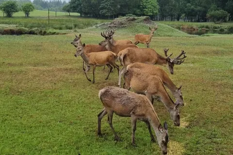 Camping Himmerland in Aars — foto 10