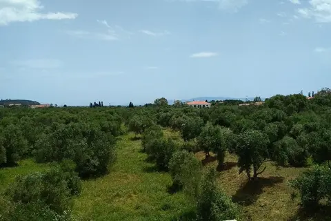 Casa De Rosa Apartments in Σβορωνάτα — foto 23