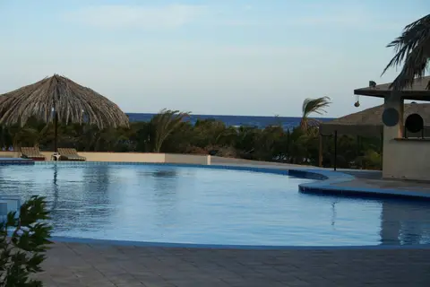 Mangrove Bay Resort in القصير — foto 9