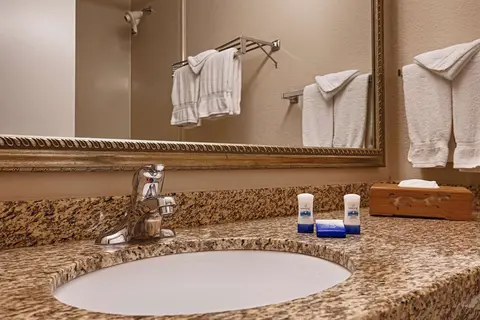 Best Western Plus Chicago Hillside in Franklin Park — foto 8