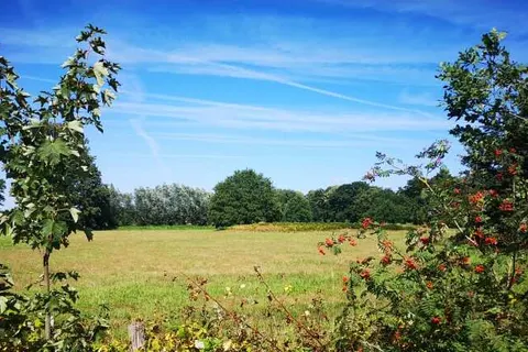 Camping Geelenhoof foto 11