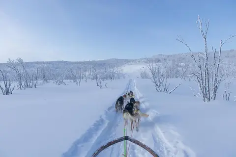8 daagse excursiereis Lapland hotel Ylläskaltio in Kolari — foto 4