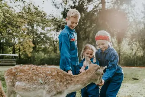Vakantiepark Dierenbos in Vinkel