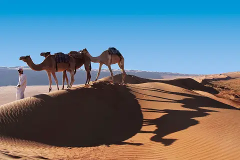 Desert Nights Resort in Wahiba Sands — foto 8