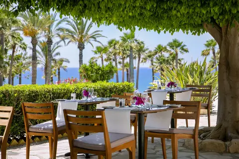 Azia Resort & Spa in Paphos — foto 10