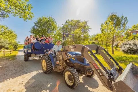 Camping Du Domaine D Anglas foto 3